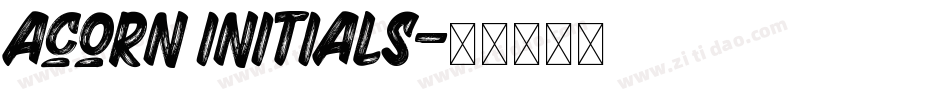 Acorn Initials字体转换